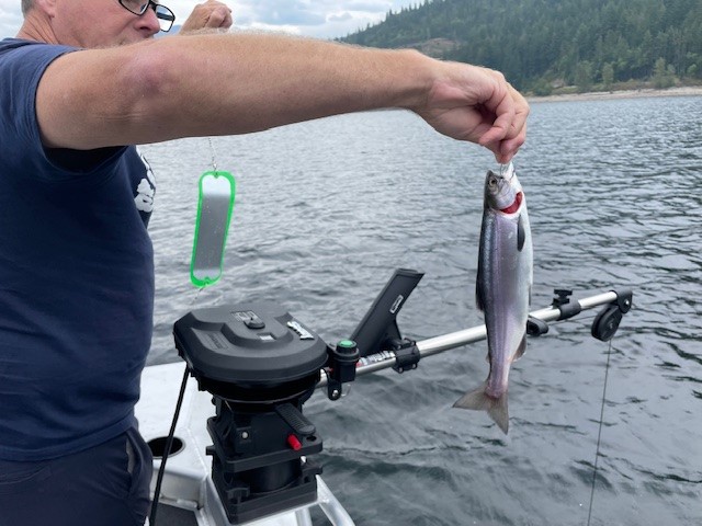 1 Kokanee